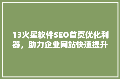 13火星软件SEO首页优化利器，助力企业网站快速提升排名