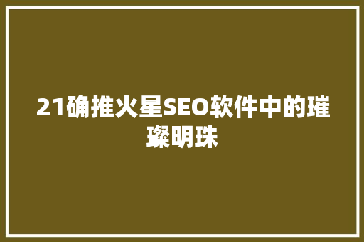 21确推火星SEO软件中的璀璨明珠