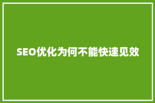 SEO优化为何不能快速见效