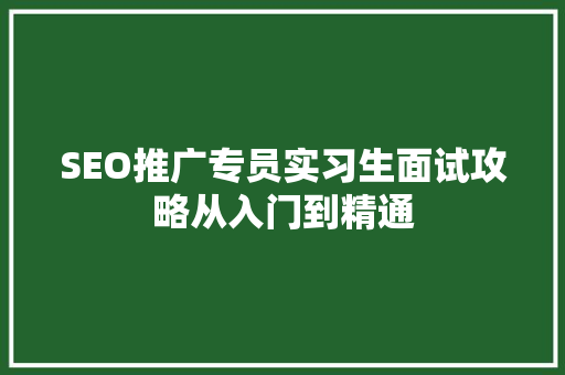 SEO推广专员实习生面试攻略从入门到精通