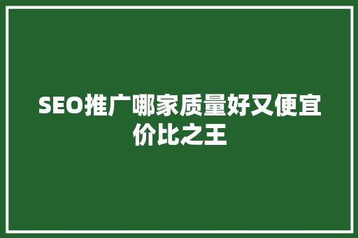 SEO推广哪家质量好又便宜价比之王