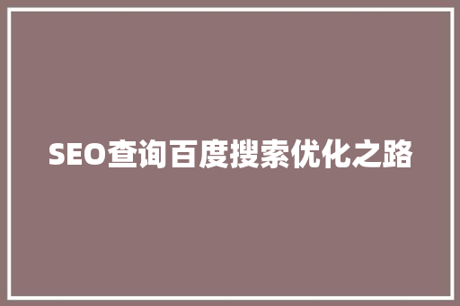 SEO查询百度搜索优化之路