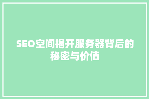 SEO空间揭开服务器背后的秘密与价值