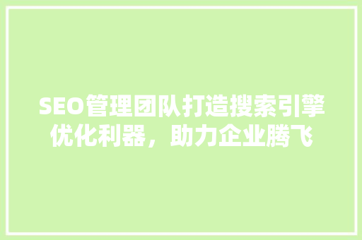 SEO管理团队打造搜索引擎优化利器，助力企业腾飞