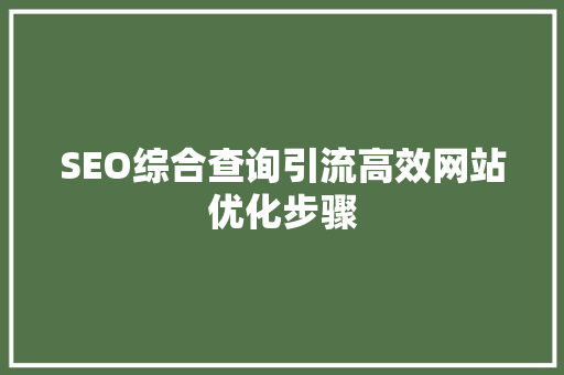 SEO综合查询引流高效网站优化步骤
