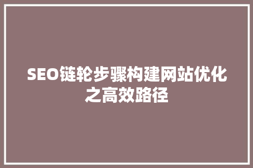 SEO链轮步骤构建网站优化之高效路径