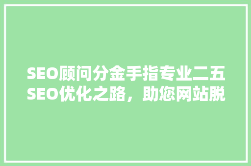 SEO顾问分金手指专业二五SEO优化之路，助您网站脱颖而出