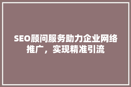 SEO顾问服务助力企业网络推广，实现精准引流