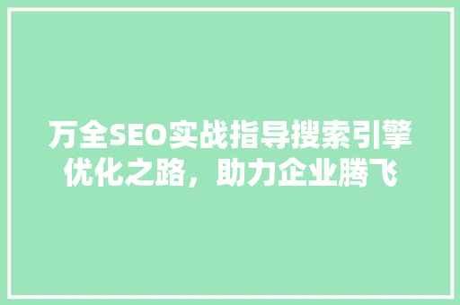 万全SEO实战指导搜索引擎优化之路，助力企业腾飞