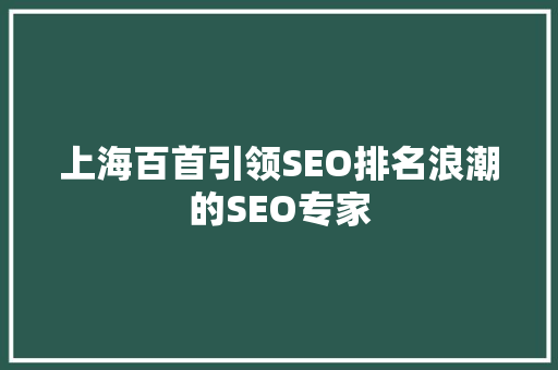 上海百首引领SEO排名浪潮的SEO专家