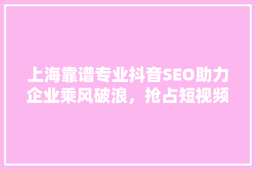 上海靠谱专业抖音SEO助力企业乘风破浪，抢占短视频流量高地