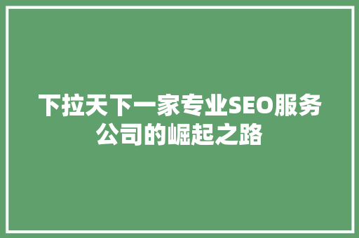 下拉天下一家专业SEO服务公司的崛起之路