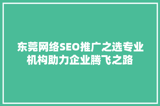 东莞网络SEO推广之选专业机构助力企业腾飞之路