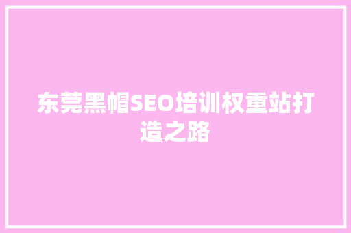 东莞黑帽SEO培训权重站打造之路