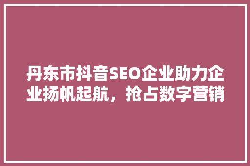 丹东市抖音SEO企业助力企业扬帆起航，抢占数字营销制高点