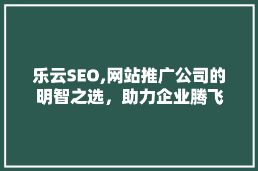 乐云SEO,网站推广公司的明智之选，助力企业腾飞