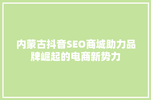 内蒙古抖音SEO商城助力品牌崛起的电商新势力