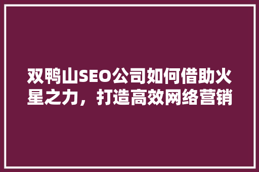 双鸭山SEO公司如何借助火星之力，打造高效网络营销步骤