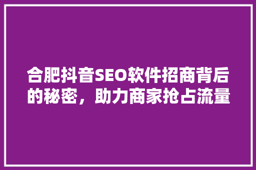 合肥抖音SEO软件招商背后的秘密，助力商家抢占流量红利