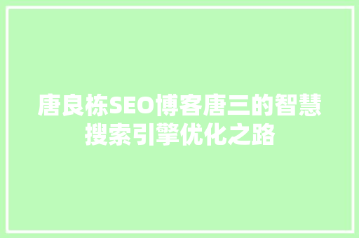 唐良栋SEO博客唐三的智慧搜索引擎优化之路