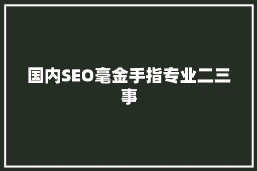 国内SEO毫金手指专业二三事