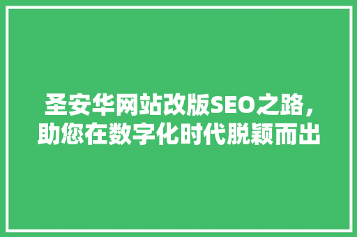 圣安华网站改版SEO之路，助您在数字化时代脱颖而出