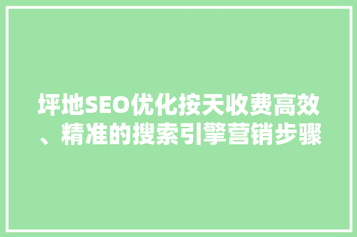 坪地SEO优化按天收费高效、精准的搜索引擎营销步骤