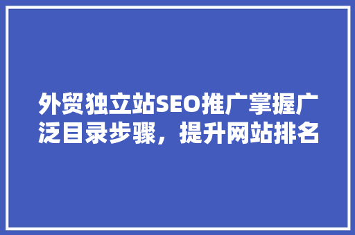 外贸独立站SEO推广掌握广泛目录步骤，提升网站排名与流量