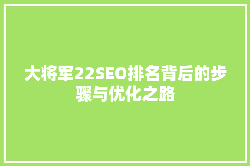 大将军22SEO排名背后的步骤与优化之路