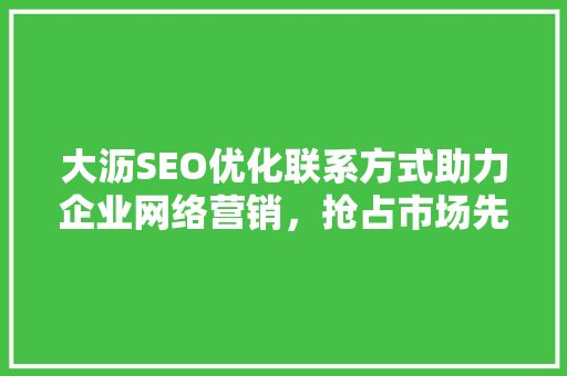 大沥SEO优化联系方式助力企业网络营销，抢占市场先机