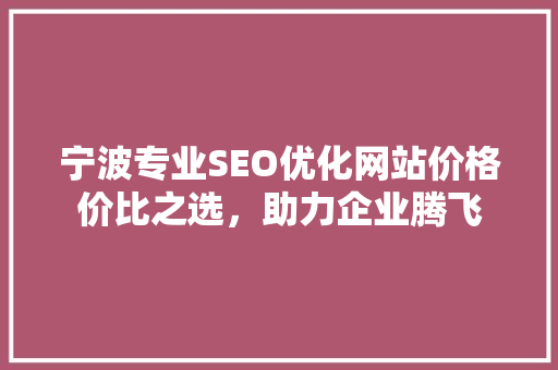 宁波专业SEO优化网站价格价比之选，助力企业腾飞
