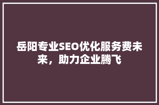 岳阳专业SEO优化服务费未来，助力企业腾飞