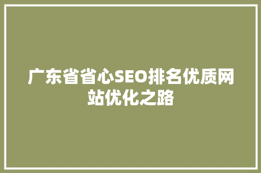 广东省省心SEO排名优质网站优化之路