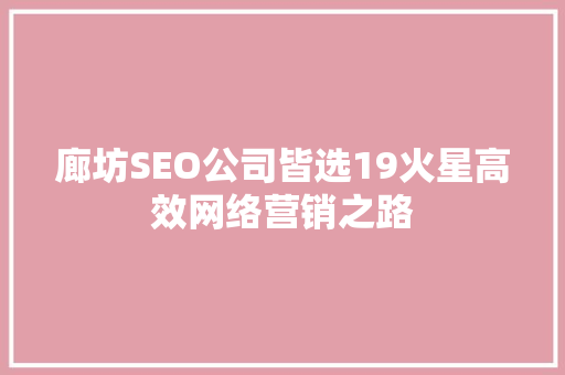 廊坊SEO公司皆选19火星高效网络营销之路