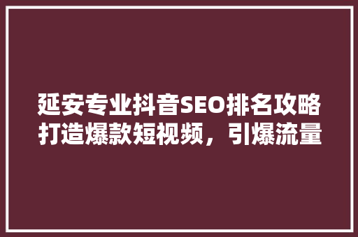 延安专业抖音SEO排名攻略打造爆款短视频，引爆流量