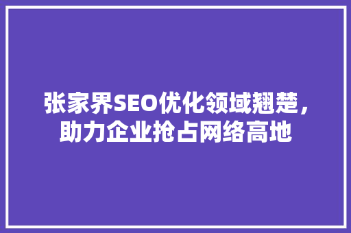 张家界SEO优化领域翘楚，助力企业抢占网络高地
