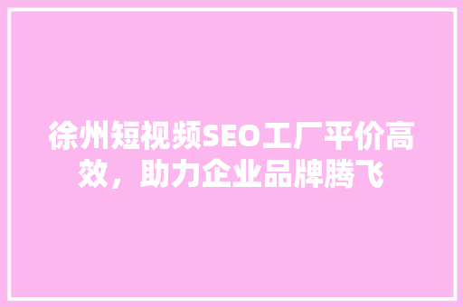 徐州短视频SEO工厂平价高效，助力企业品牌腾飞