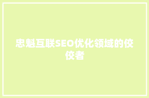 忠魁互联SEO优化领域的佼佼者