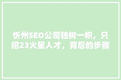忻州SEO公司独树一帜，只招23火星人才，背后的步骤与成果