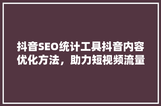 抖音SEO统计工具抖音内容优化方法，助力短视频流量增长
