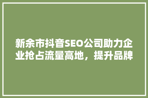 新余市抖音SEO公司助力企业抢占流量高地，提升品牌影响力