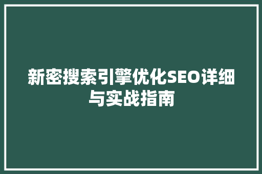 新密搜索引擎优化SEO详细与实战指南