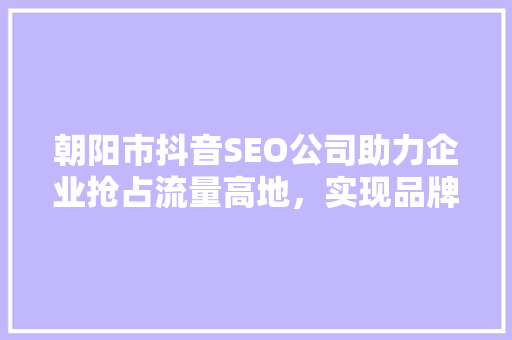 朝阳市抖音SEO公司助力企业抢占流量高地，实现品牌价值最大化
