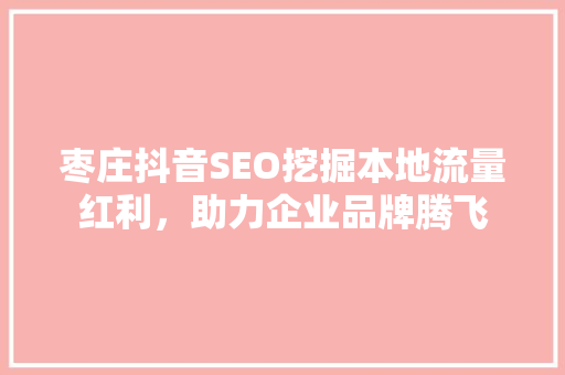 枣庄抖音SEO挖掘本地流量红利，助力企业品牌腾飞