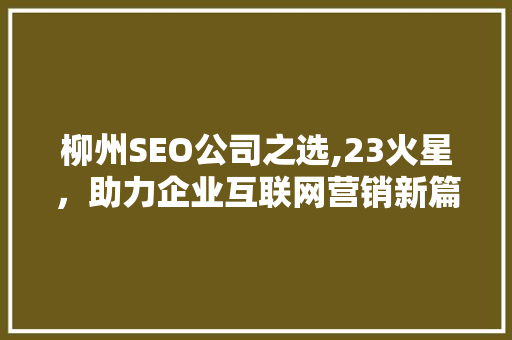 柳州SEO公司之选,23火星，助力企业互联网营销新篇章