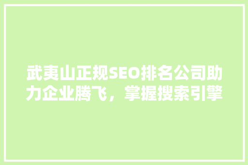 武夷山正规SEO排名公司助力企业腾飞，掌握搜索引擎营销之路