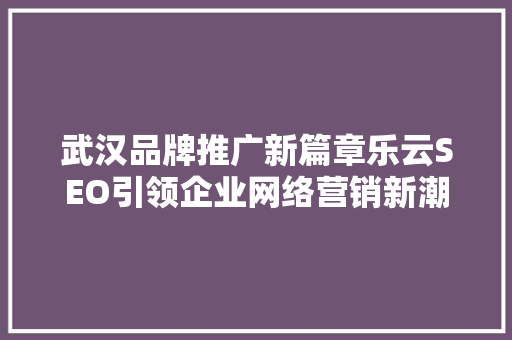 武汉品牌推广新篇章乐云SEO引领企业网络营销新潮流