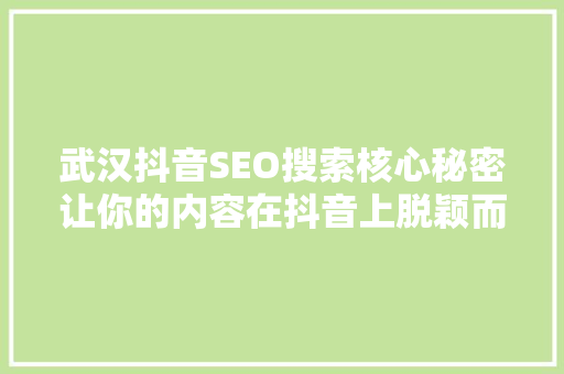 武汉抖音SEO搜索核心秘密让你的内容在抖音上脱颖而出