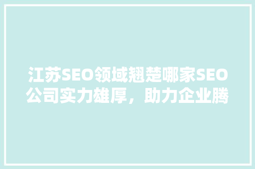 江苏SEO领域翘楚哪家SEO公司实力雄厚，助力企业腾飞