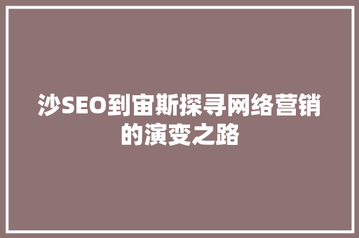 沙SEO到宙斯探寻网络营销的演变之路